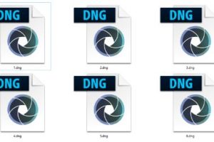 .dng